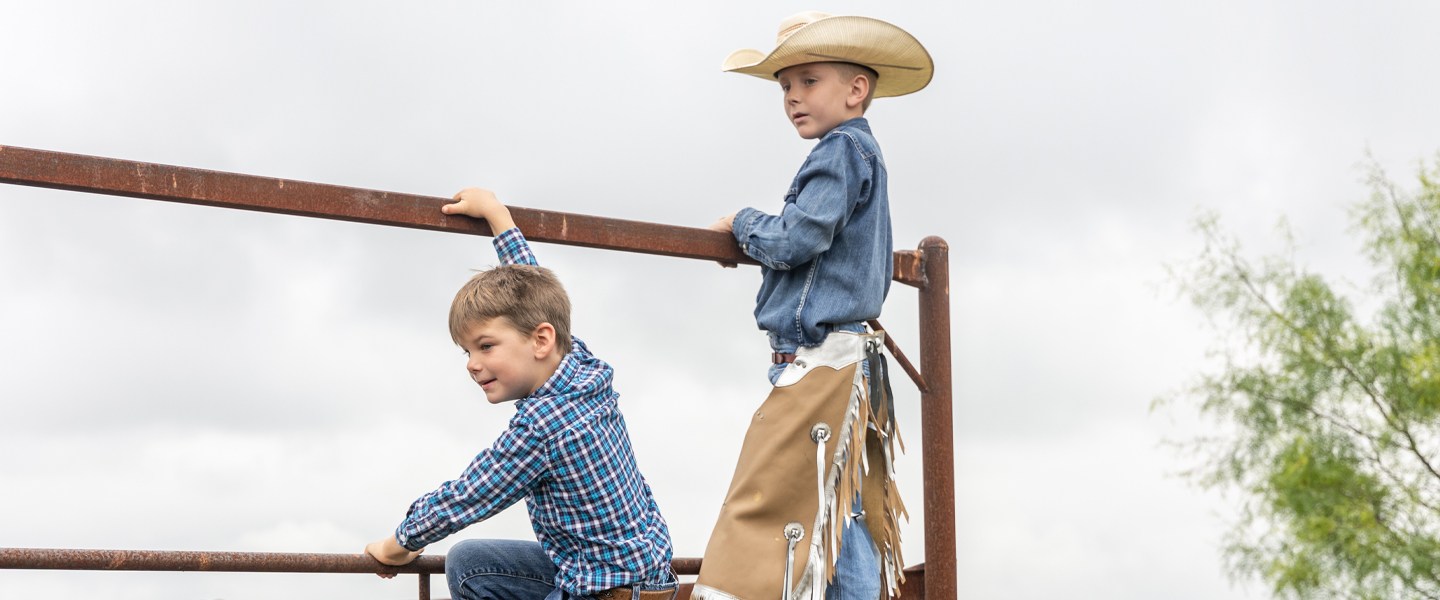 Two young boys stand on fence 